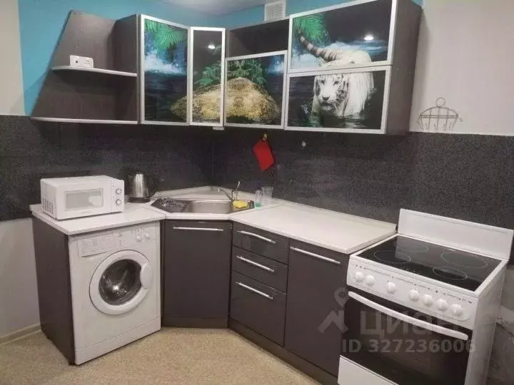 1-к кв. Красноярский край, Красноярск Транзитная ул., 34 (33.0 м) - Фото 1