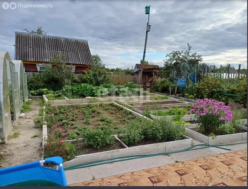 Дом в Тобольск, СНТ Биолог (21.1 м) - Фото 1