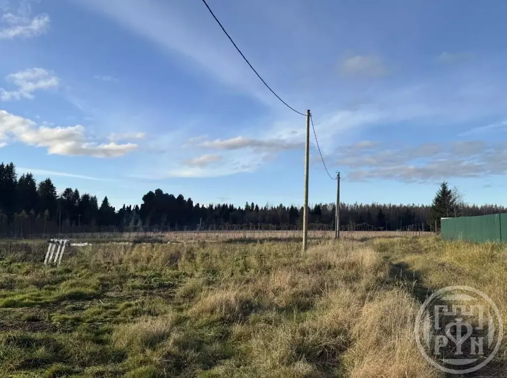 Участок в Ленинградская область, Волосовский район, Бегуницкое с/пос, ... - Фото 1