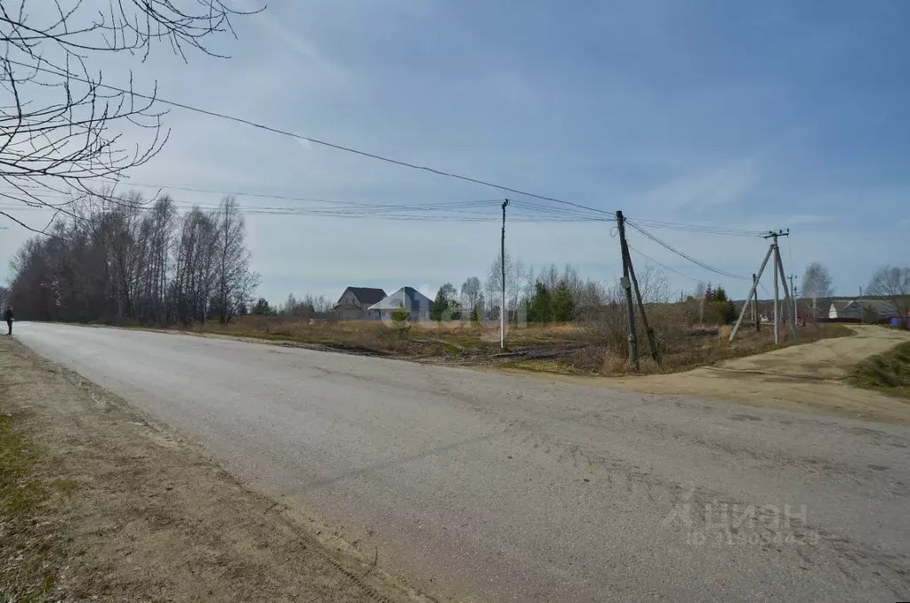 Участок в Пензенская область, Бессоновский район, с. Сосновка ... - Фото 1