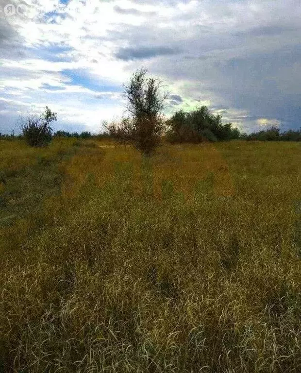 Участок в Новофёдоровка, Южная улица (10 м) - Фото 1