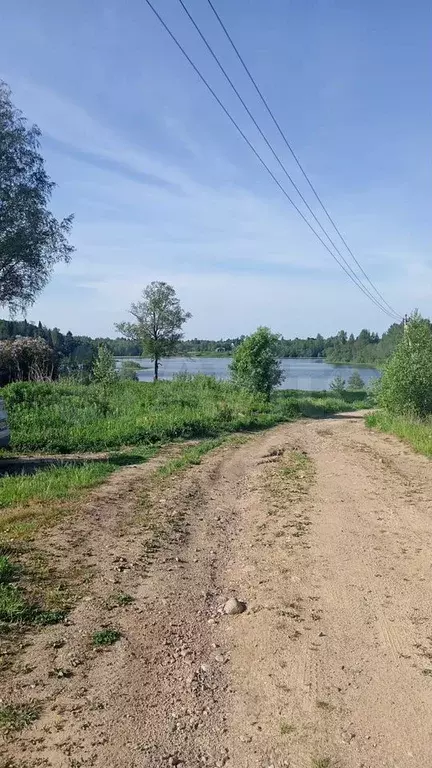 Участок 25 га (ИЖС) - Фото 1