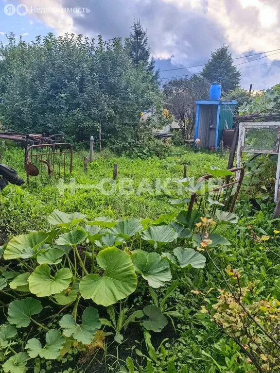 Участок в Новосибирск, СНТ Новая Сибирь, 125 (6.6 м) - Фото 2