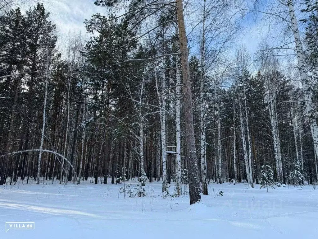 Участок в Свердловская область, Сысертский городской округ, пос. ... - Фото 0