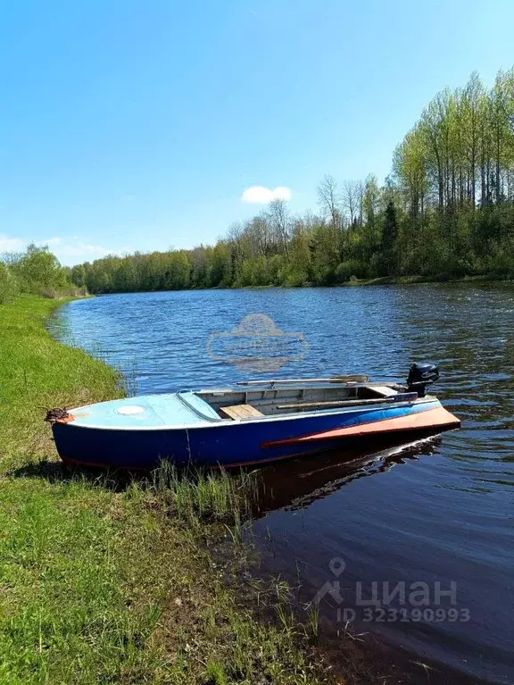 Участок в Новгородская область, Чудовский район, Успенское с/пос, ... - Фото 2