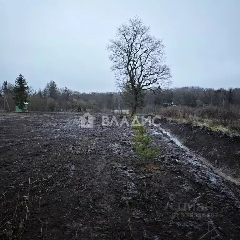 Участок в Ленинградская область, Ломоносовский район, Ропшинское ... - Фото 1