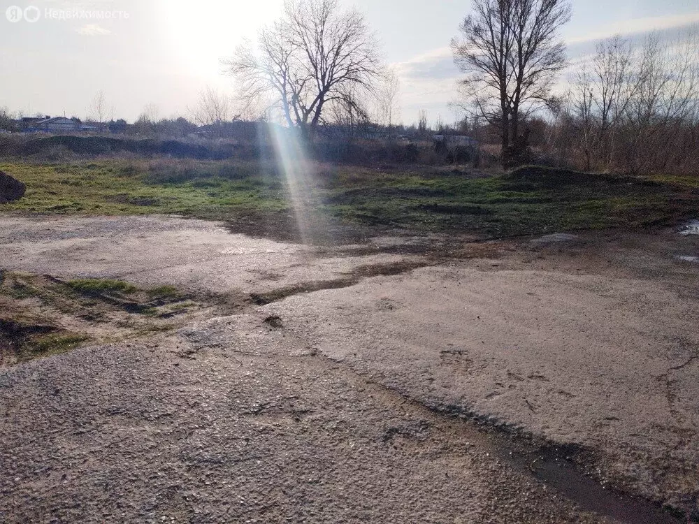 Участок в Среднеахтубинский район, Кировское сельское поселение, хутор ... - Фото 2