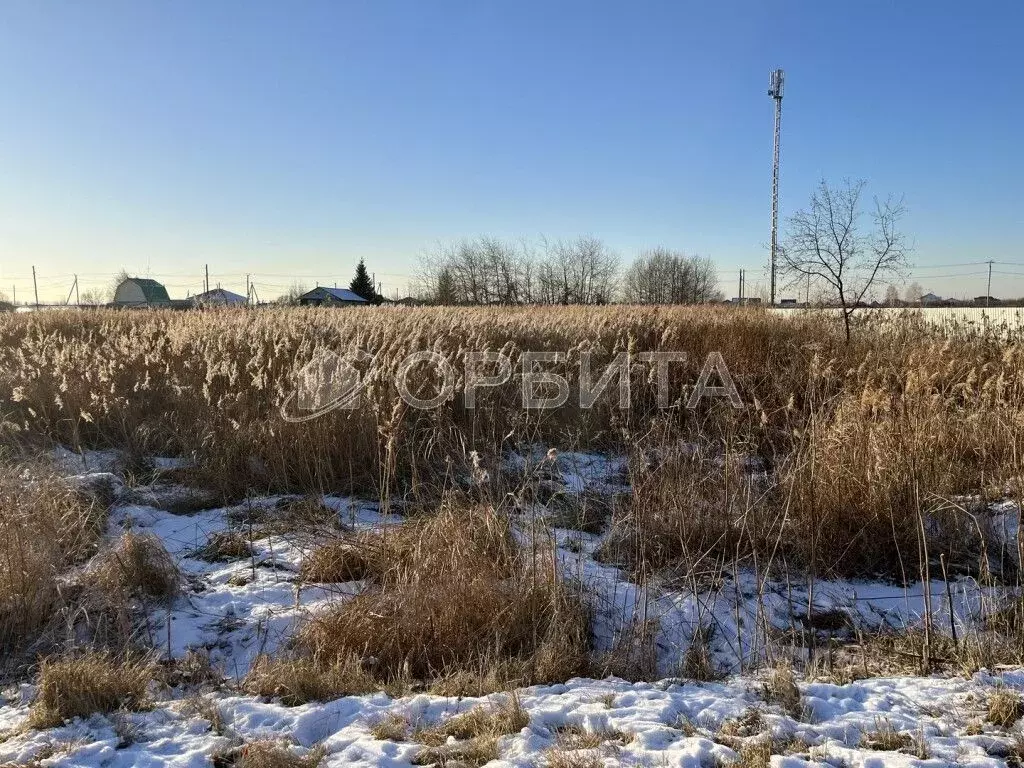 Участок в Тюменская область, Тюмень  (8.03 сот.) - Фото 0