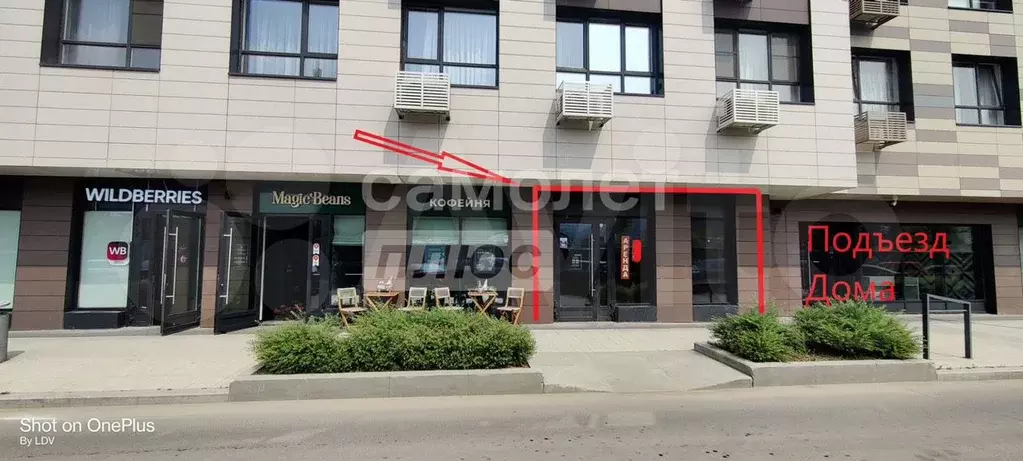Сдам помещение свободного назначения, 39.5 м - Фото 1