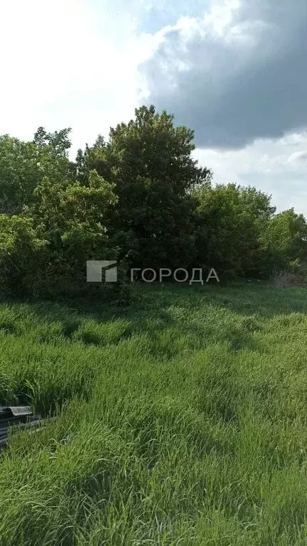 Участок в село Гуселетово, Садовая улица, 39 (63.4 м) - Фото 2