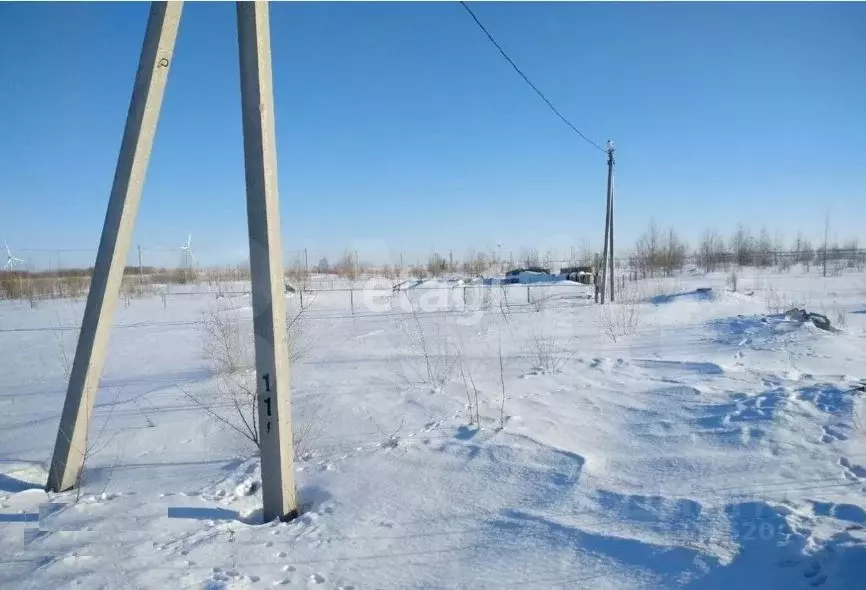 Участок в Ульяновская область, Чердаклинский район, Красноярское ... - Фото 0