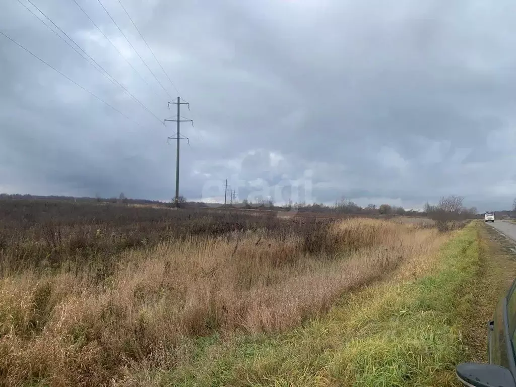 Участок в Костромская область, Костромской район, Шунгенское с/пос, д. ... - Фото 1