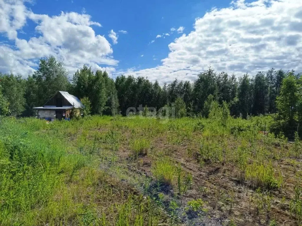 Участок в Ханты-Мансийский АО, Ханты-Мансийск Приозерный СОТ,  (10.1 ... - Фото 1