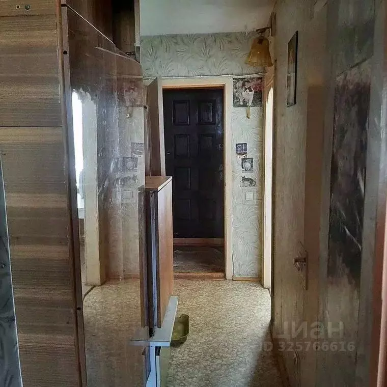 1-к кв. Крым, Феодосия ул. Володарского, 15А (33.8 м) - Фото 2