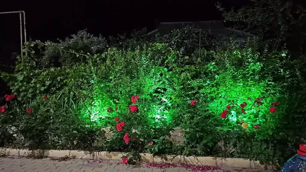 Дом в Дагестан, Каспийск Заря -2 СНТ, ул. 8-я линия, 206 (70 м) - Фото 0