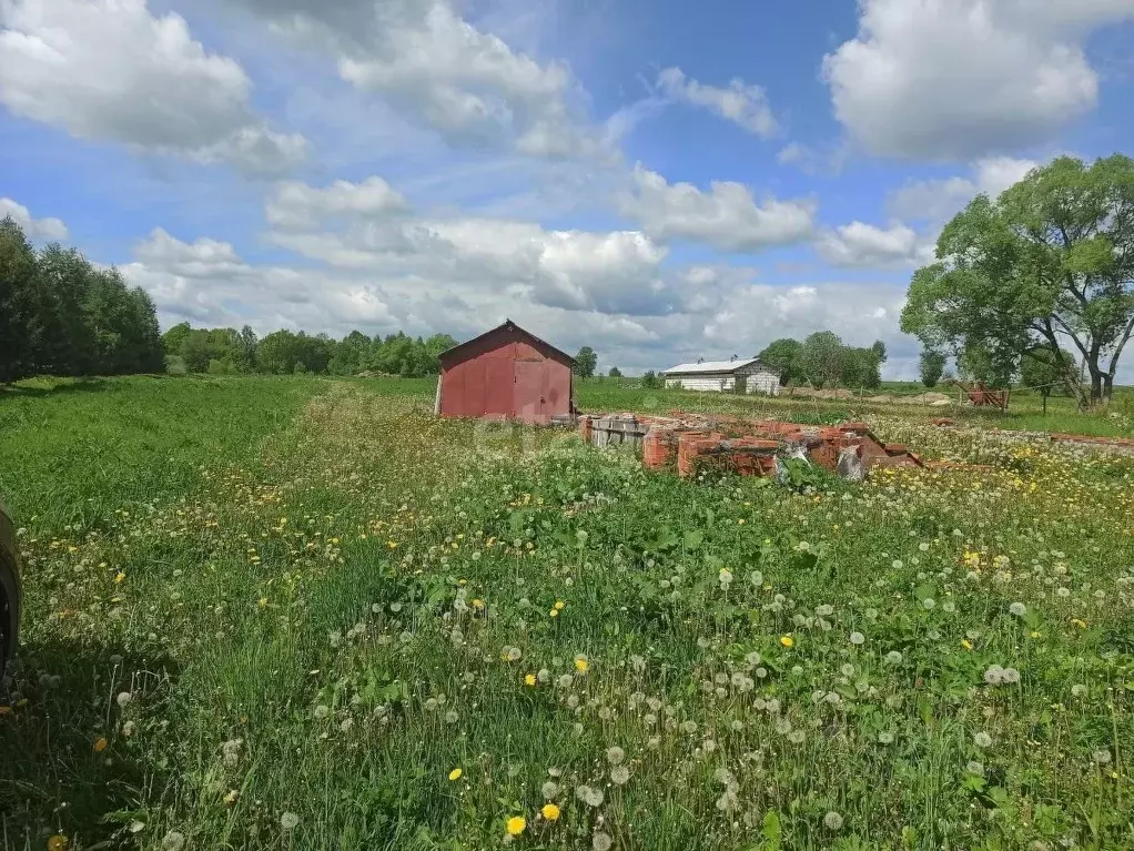 Участок в Калужская область, Село Бабынино с/пос, д. Матюково ... - Фото 1