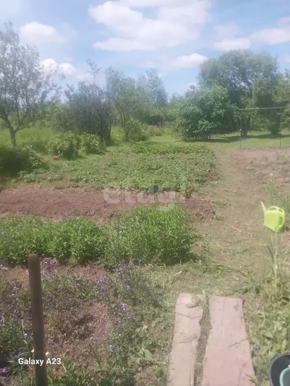 Участок в Хабаровский край, Хабаровский район, Станкостроитель СНТ  ... - Фото 1