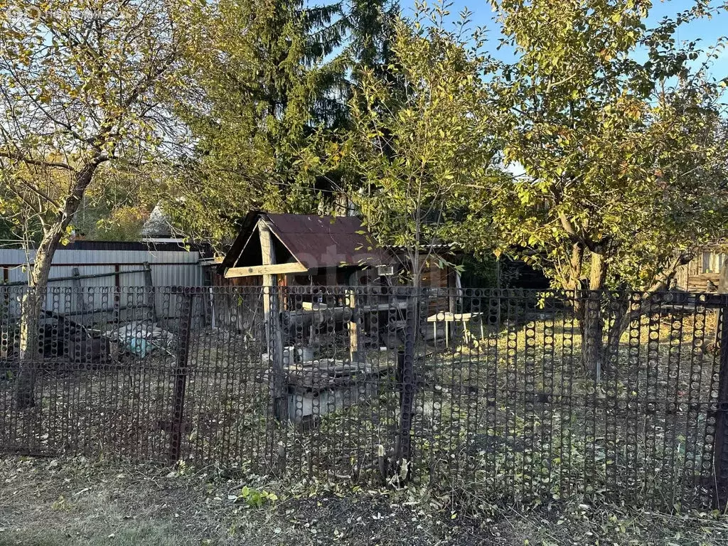 Участок в Курганская область, Кетовский муниципальный округ, СНТ ... - Фото 2