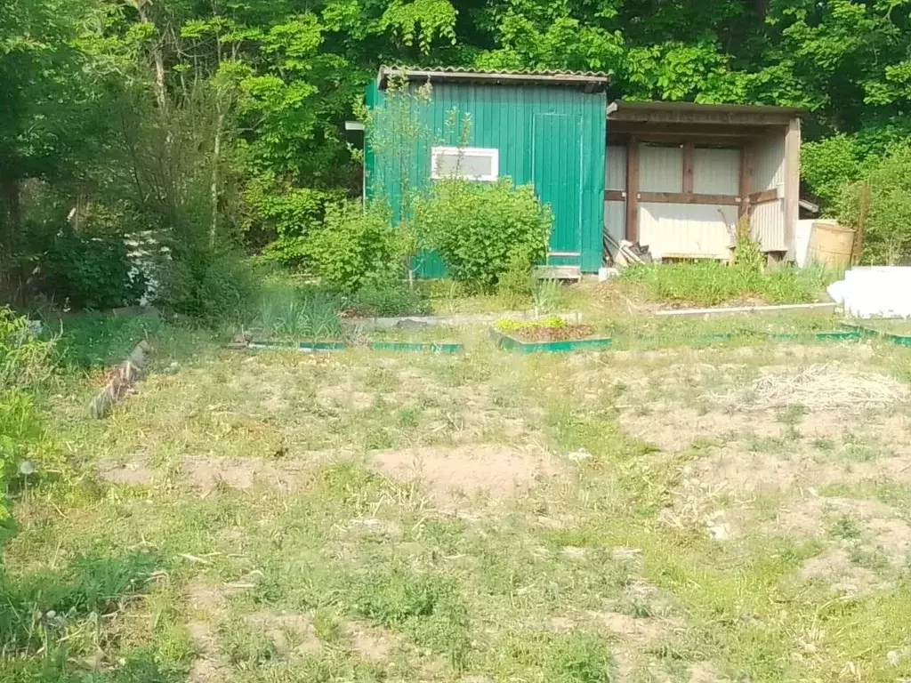 Участок 6 сот. (СНТ, ДНП) - Фото 0
