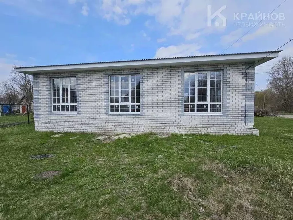 Дом в Воронежская область, Рамонский район, с. Новоживотинное  (102 м) - Фото 1