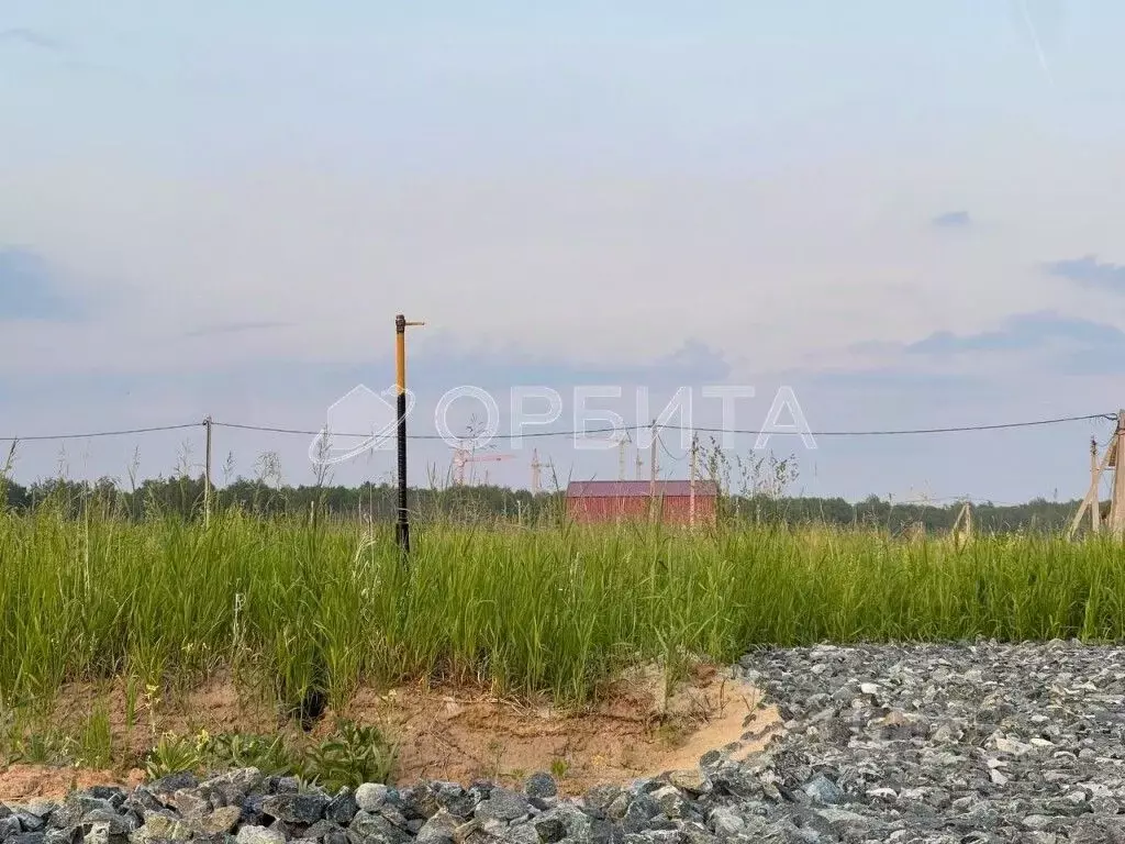 Участок в Тюменская область, Тюменский район, д. Падерина Луговая ул. ... - Фото 1