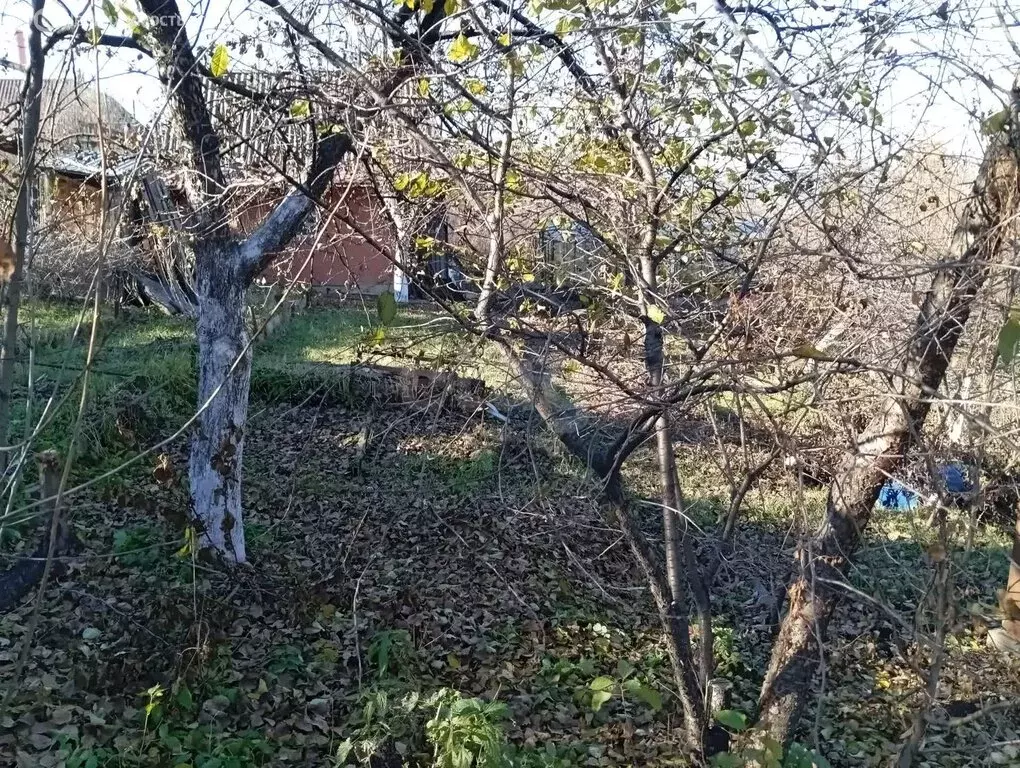 Участок в Миасс, СНТ Урал-4 (4.43 м) - Фото 2