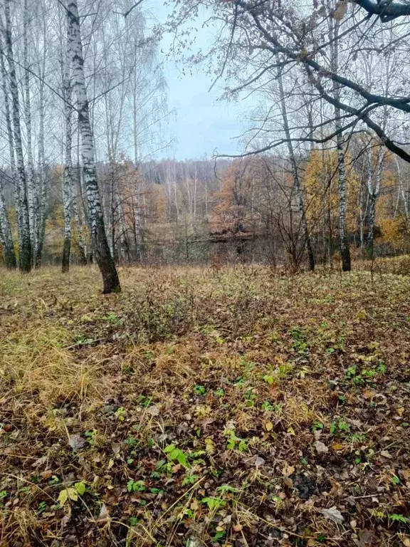 Участок в Тульская область, Киреевский район, Красноярское с/пос, пос. ... - Фото 1