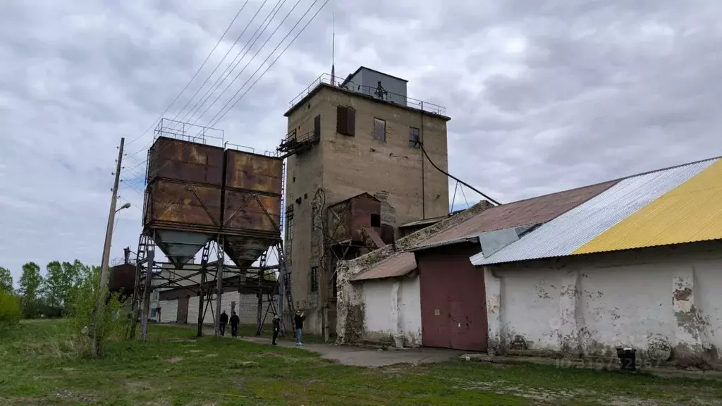 Помещение свободного назначения в Алтайский край, Косихинский район, ... - Фото 0