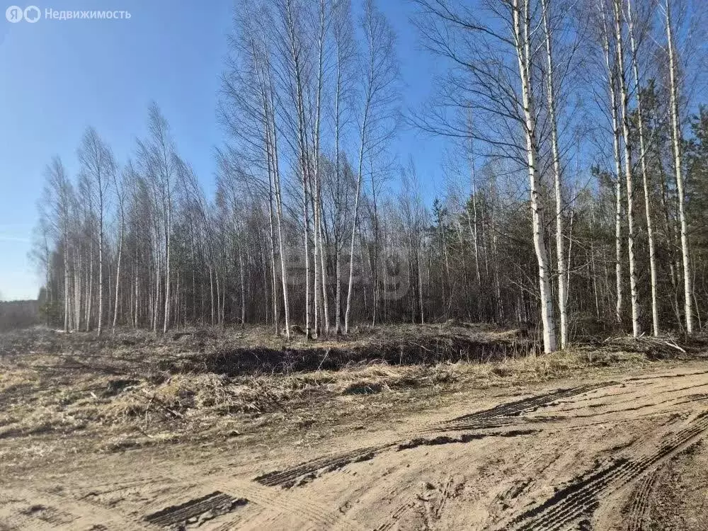 Участок в Ленинградская область, Всеволожск (1000 м) - Фото 1