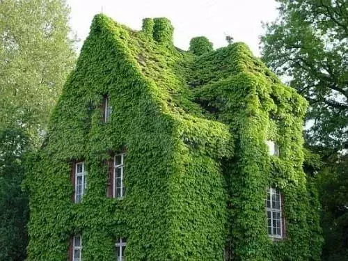 Машиноместо, 13 м - Фото 0