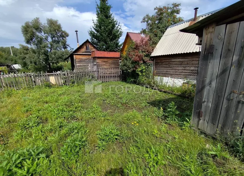 Участок в Новосибирская область, Новосибирск Пион садовое ... - Фото 1