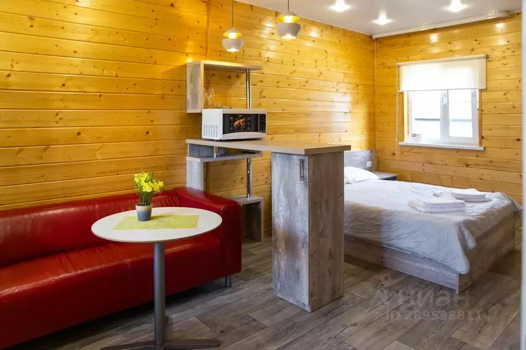 Дом в Камчатский край, Елизово пер. 5-й Лыжный, 6 (24 м) - Фото 1