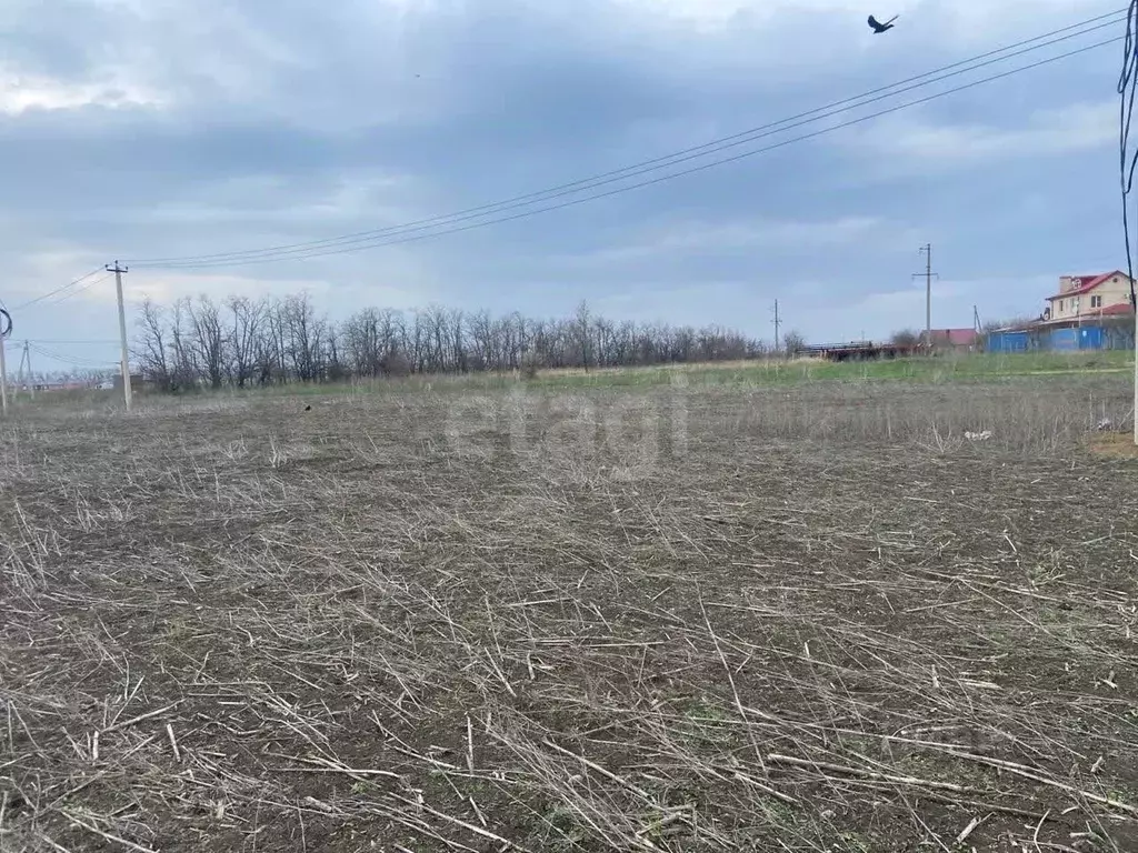Участок в Ростовская область, Мясниковский район, с. Большие Салы ул. ... - Фото 2