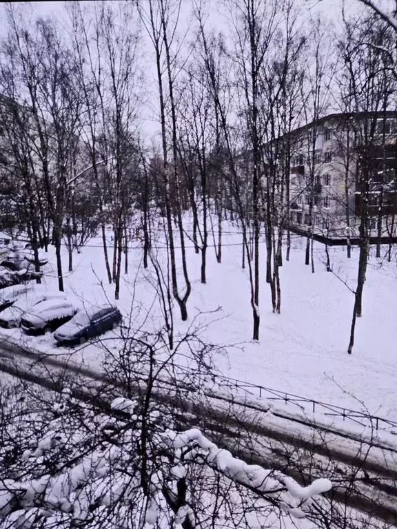 2-к кв. Санкт-Петербург ул. Турку, 23К1 (44.0 м) - Фото 1