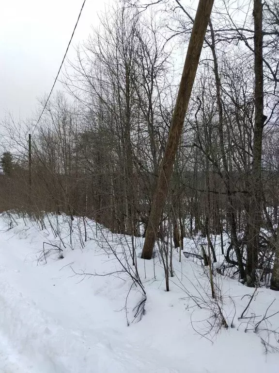 Участок в посёлок Мичуринское, Озёрный переулок (25 м) - Фото 1