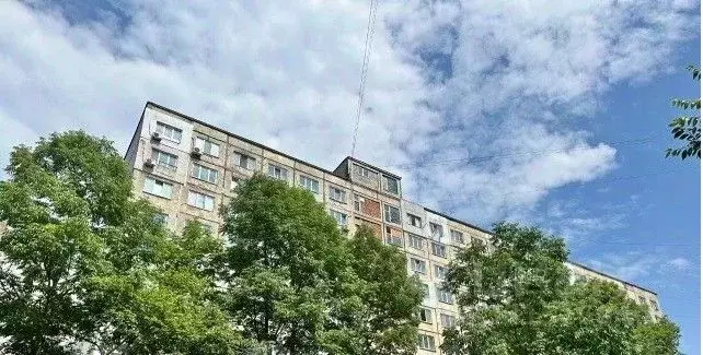 Студия Приморский край, Владивосток просп. Красного Знамени, 133/1 ... - Фото 1