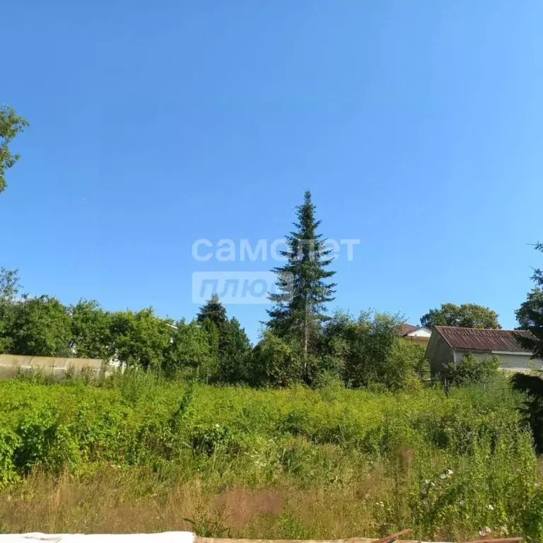 Участок в Ленинградская область, Тосненский район, Шапкинское с/пос, ... - Фото 2