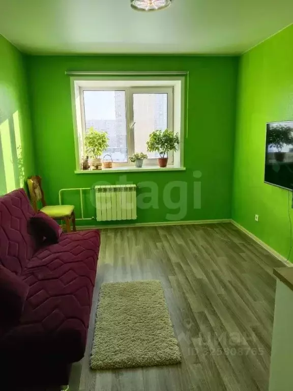 Студия Алтайский край, Барнаул городской округ, Южный рп проезд ... - Фото 1