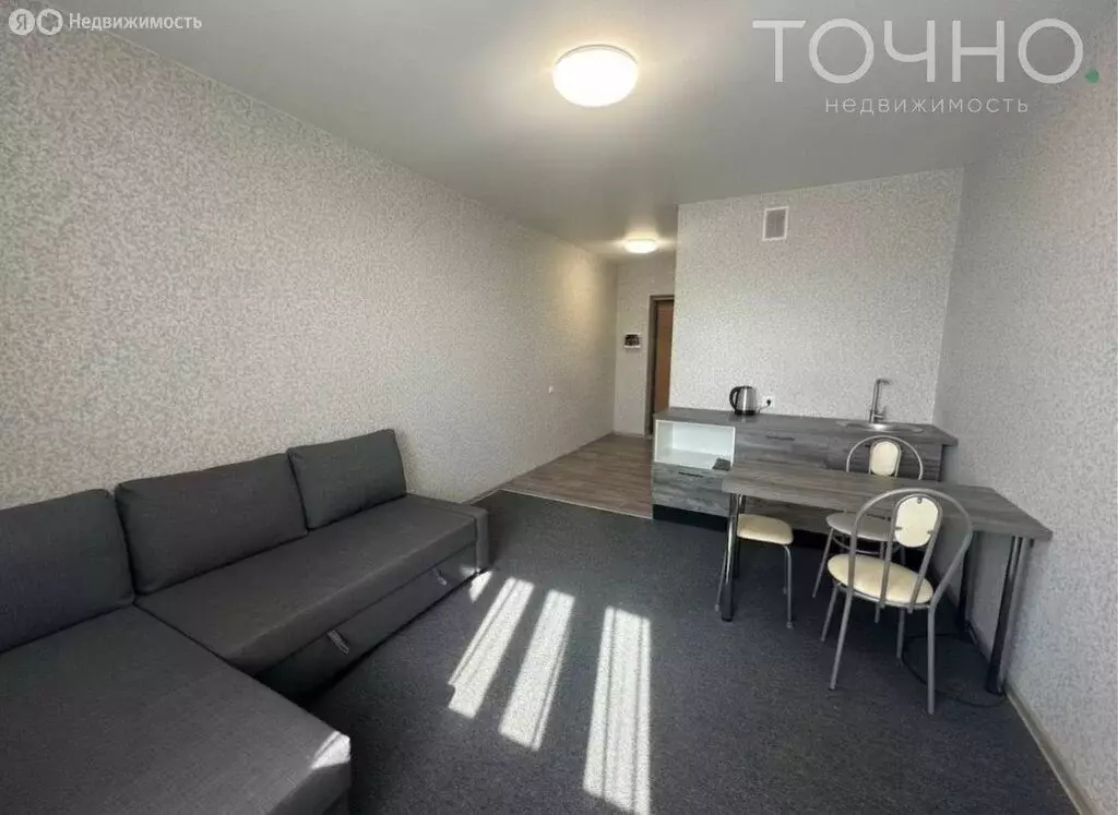 Квартира-студия: село Засечное, Фонтанная улица, 11 (28 м) - Фото 2