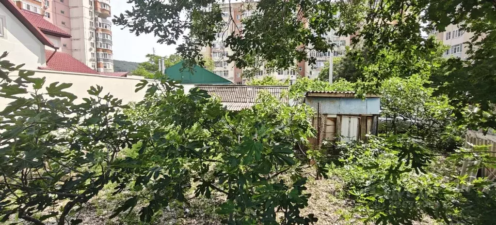 Участок в Краснодарский край, Геленджик Дивноморская ул. (5.1 сот.) - Фото 1