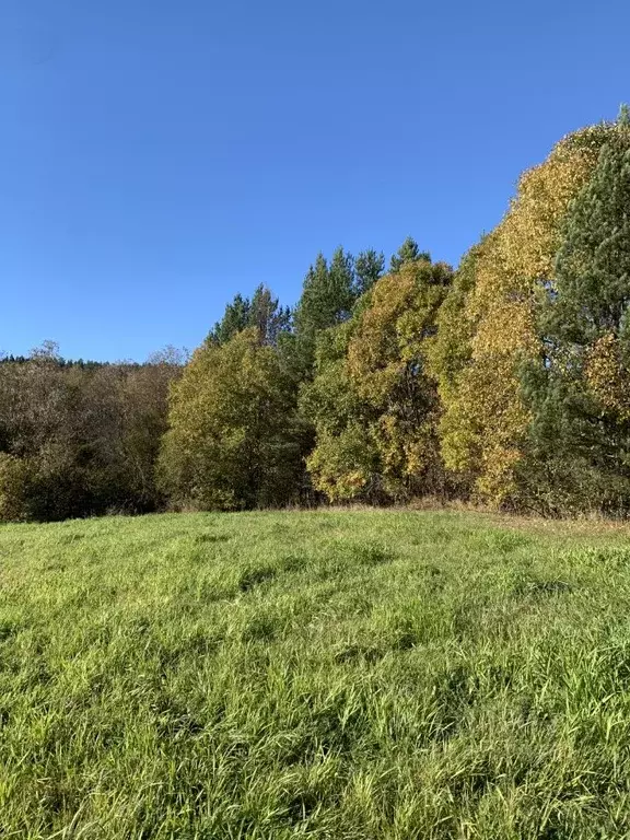 Участок в Карелия, Сортавальский муниципальный округ, пос. Оявойс  ... - Фото 2