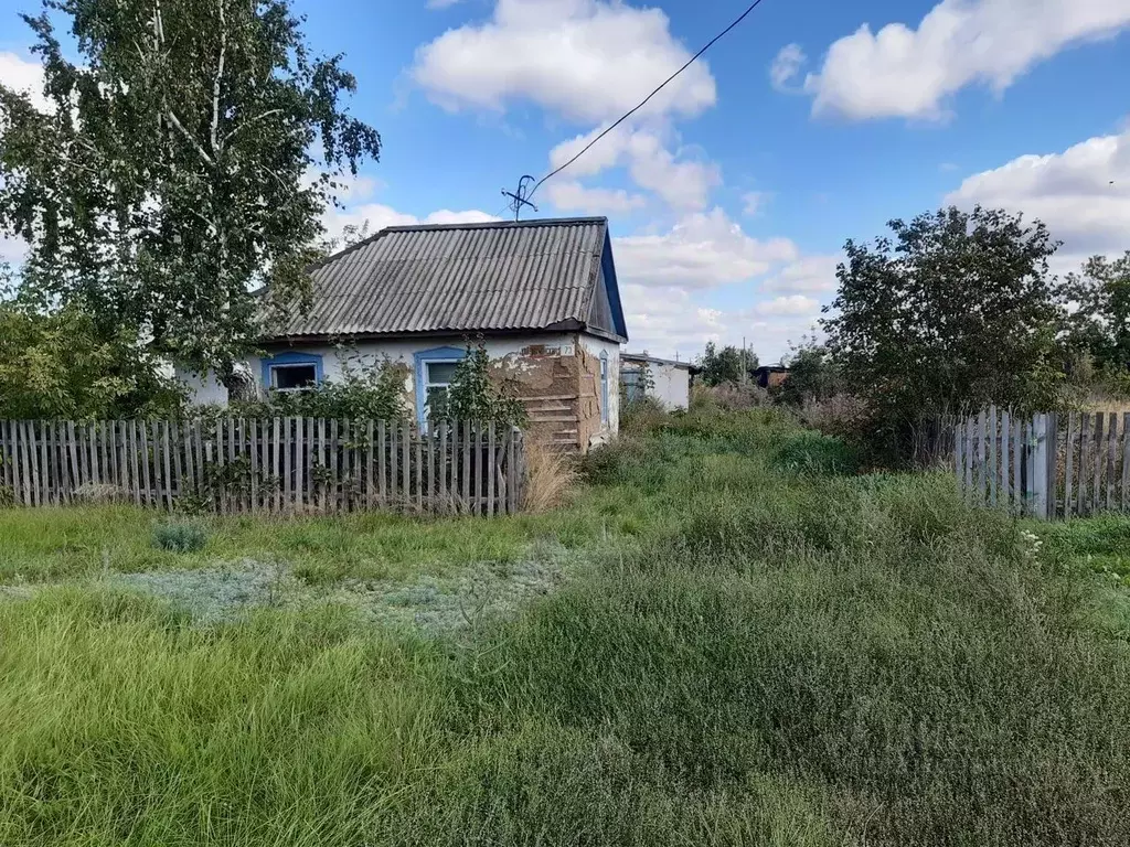 Дом в Алтайский край, Немецкий Национальный район, с. Гальбштадт ... - Фото 1