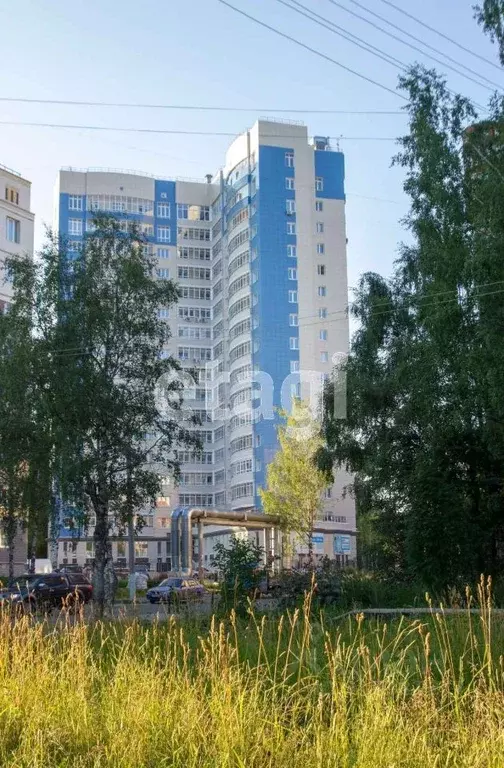 Студия Коми, Сыктывкар ул. Куратова, 72 (41.0 м) - Фото 1
