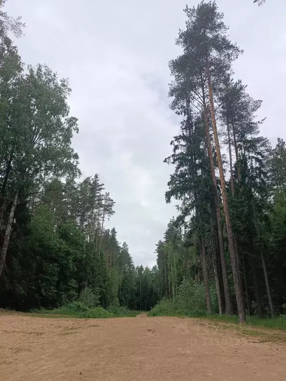 1-к кв. Ленинградская область, Сертолово Всеволожский район, ул. ... - Фото 2
