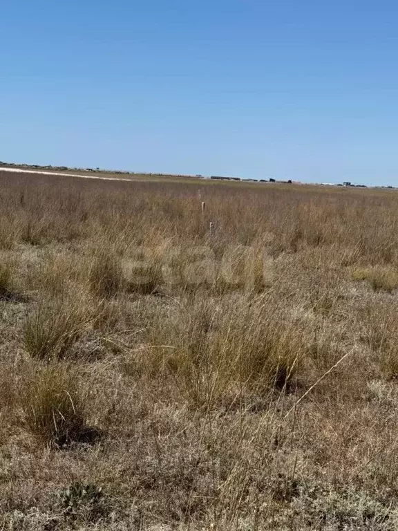 Участок в Крым, Сакский район, Молочненское с/пос, с. Витино  (6.07 ... - Фото 0