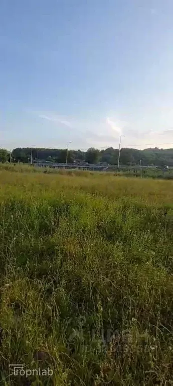 Участок в Алтайский край, Алтайский район, Айский сельсовет, с. Ая ул. ... - Фото 1