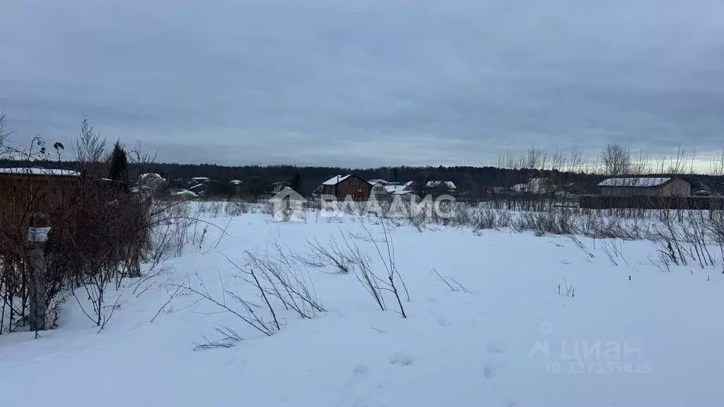 Участок в Московская область, Воскресенск городской округ, с. ... - Фото 2