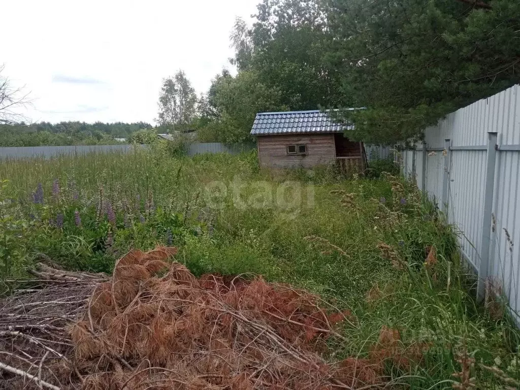 Участок в Московская область, Талдомский городской округ, Запрудня пгт ... - Фото 0