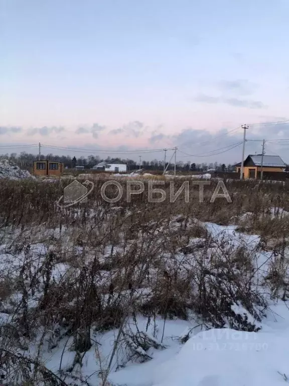 Участок в Тюменская область, Нижнетавдинский район, Геолог-2 СНТ 5-я ... - Фото 0