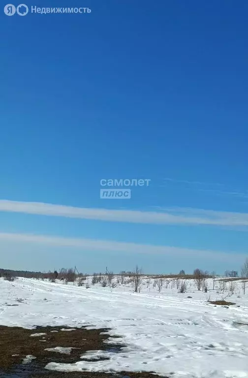 Участок в Ярославская область, Пошехонский муниципальный округ, село ... - Фото 2